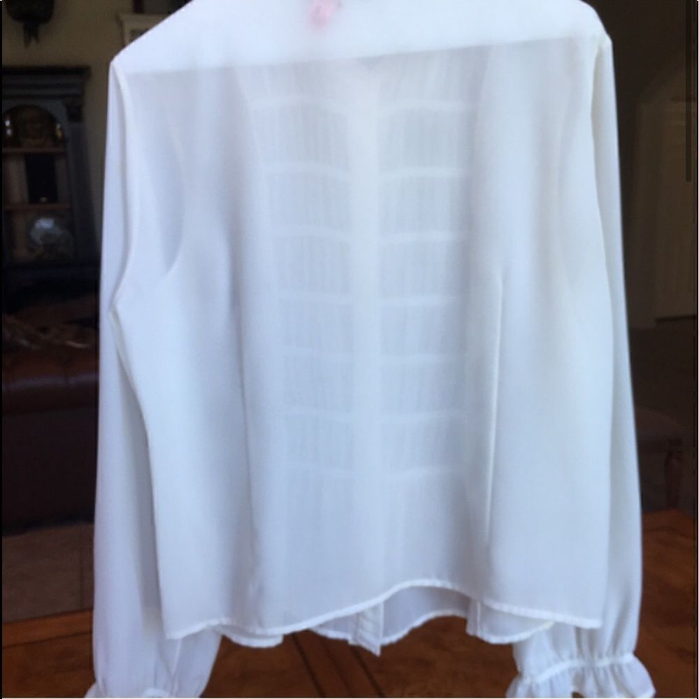 BEAUTIFUL BLOUSE w Elastic Ruffled Cuffs - Picture 5 of 8
